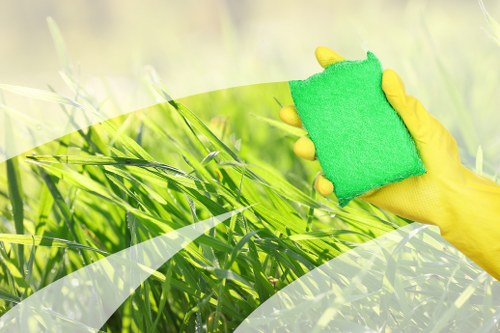 Professional window cleaning for homes in SE19