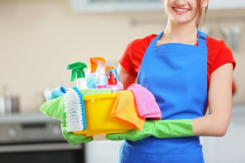 Steam carpet cleaning service for SE19 homes with a professional extraction machine