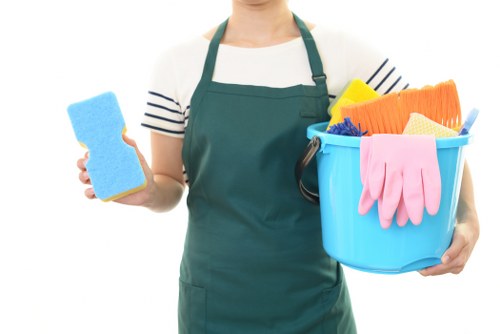 Domestic cleaning for a local SE19 home interior