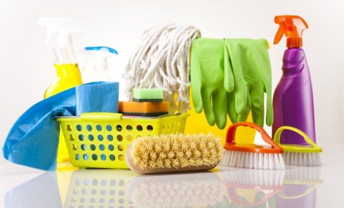 Professional deep cleaning for SE19 homes and flats
