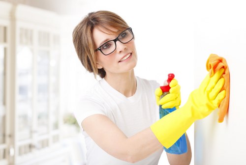 Detailed post-construction cleaning of a kitchen in SE19