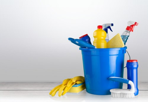 Commercial cleaning team working in a SE19 office environment