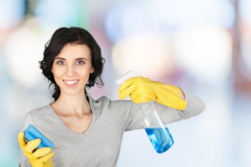 Regular home cleaning for a busy household in SE19
