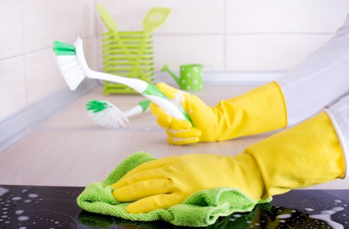 End of tenancy cleaning for a flat in SE19 before moving day