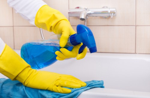 Exterior building cleaning in SE19 with careful access planning