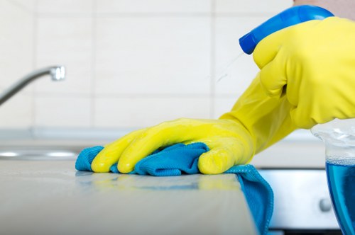 Professional cleaning of a residential patio in SE19 with careful surface treatment