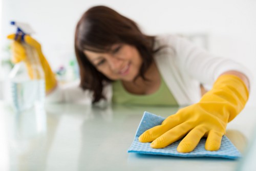 Cleaner working on hard-to-reach windows in SE19