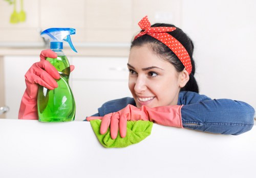 Ongoing housekeeping and cleaning service for SE19 residents