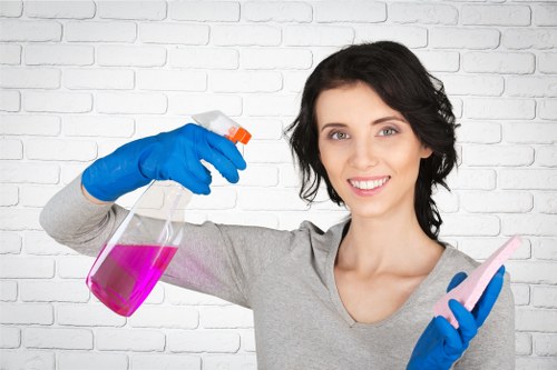 Local cleaner working in a flat in Crystal Palace SE19