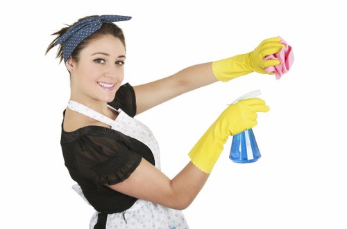 Keyboard navigation and accessibility support for carpet cleaning site