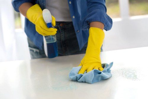 Local facade cleaning service for residential and commercial properties in SE19