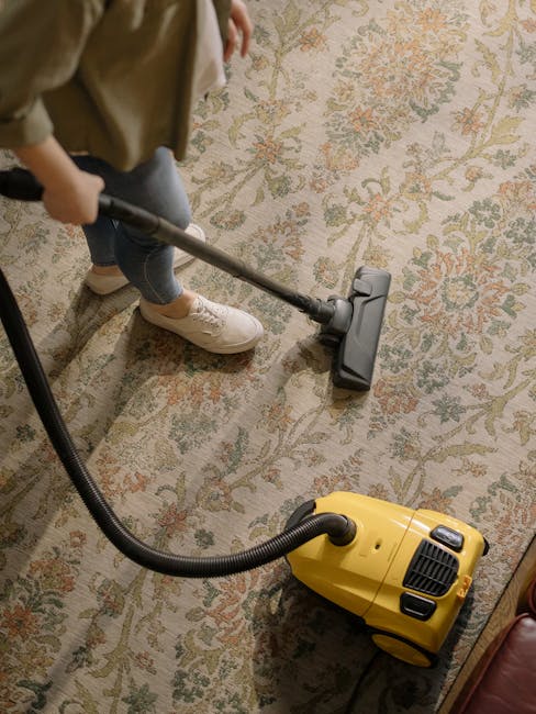 SE19 rug cleaning and repair services near Crystal Palace station