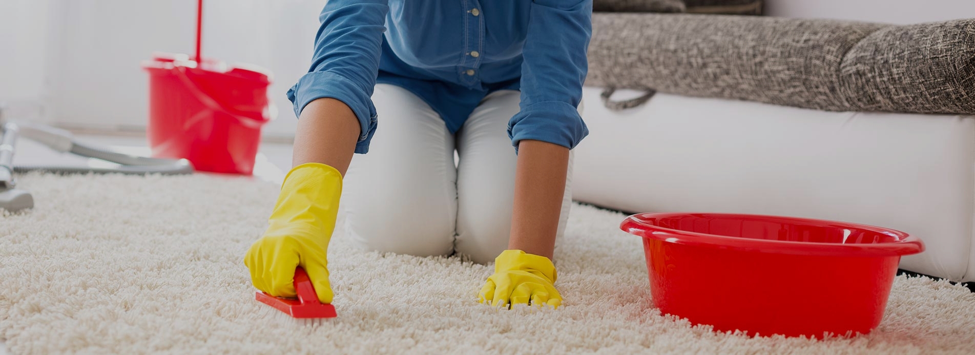 Carpet Cleaners SE19